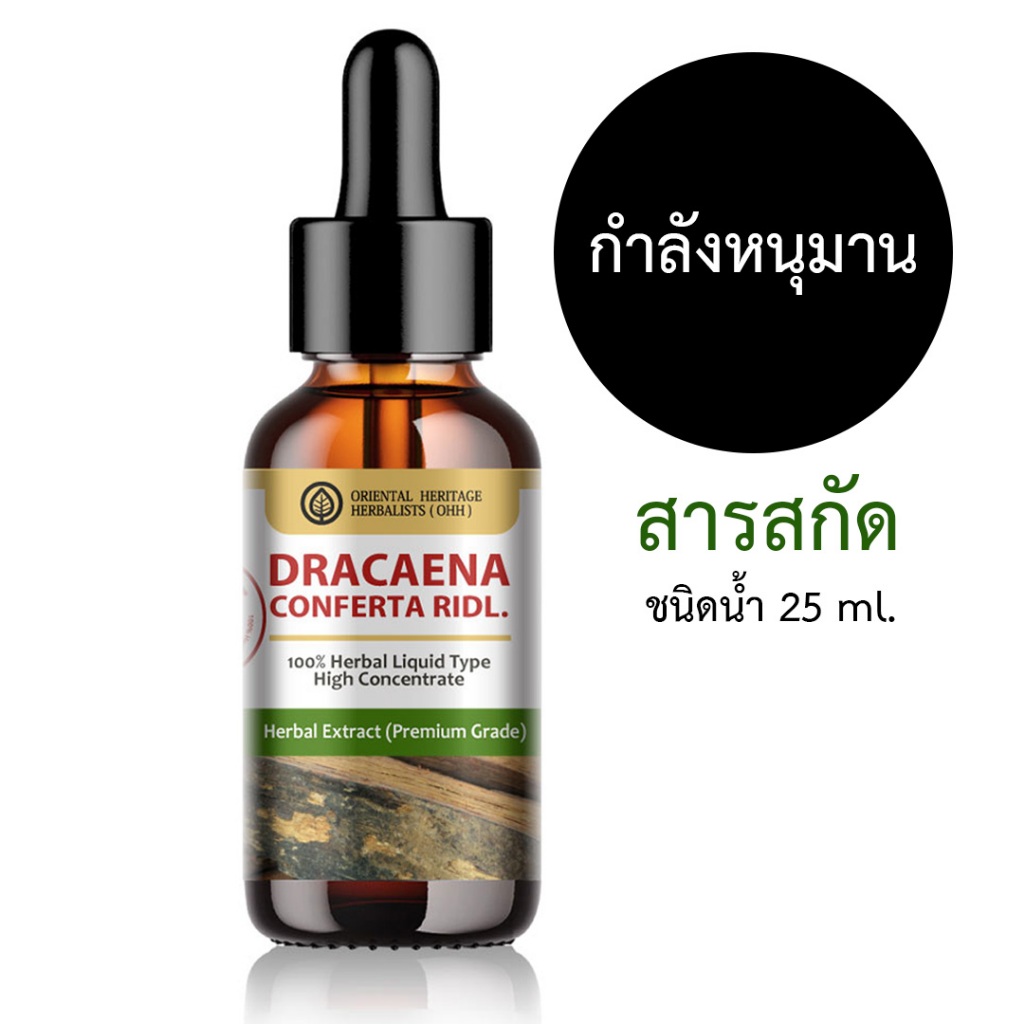 สารสกัดกำลังหนุมาน 25 ml. Dracaena Conferta Ridl สำหรับใช้ในเครื่องสำอาง