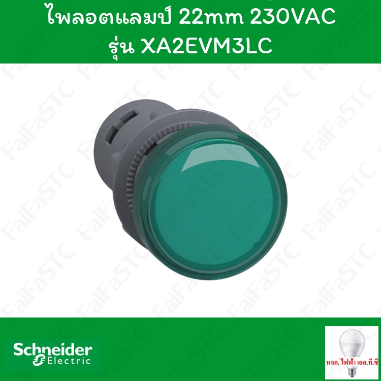 Schneider ไพลอตแลมป์ 22mm 230VAC สีเขียว รุ่น XA2EVM3LC