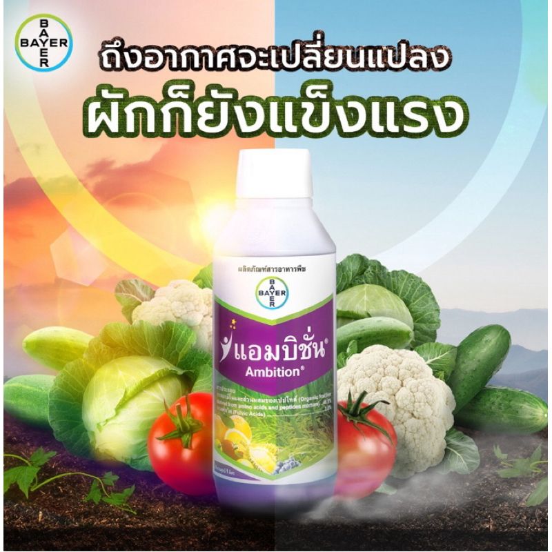 แอมบิชั่น ขนาด 1 ลิตร ไบเออร์