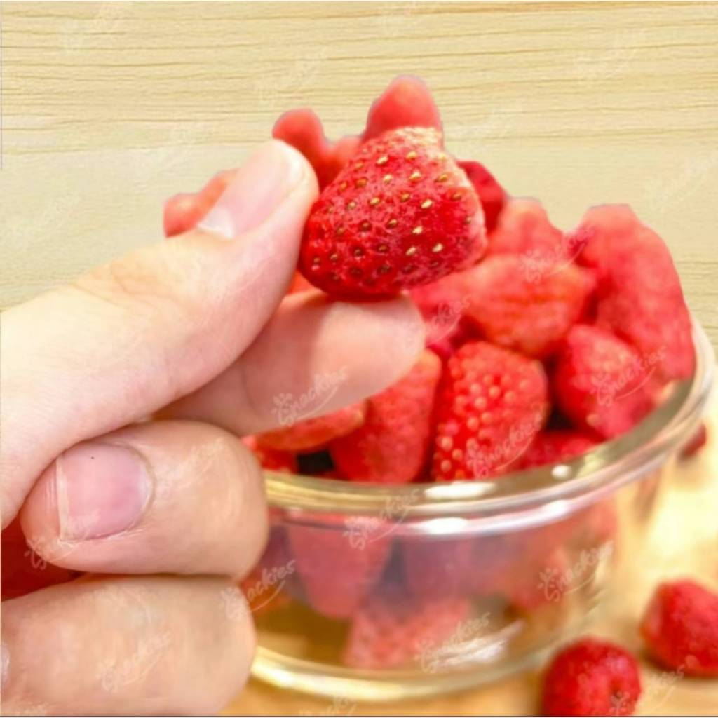 เเบ่งขายกะปุกทดลอง สตอเบอรี่ฟรีดายจิ๋วผลไม้เสริมวิตตามิน ขนมแฮมเตอร์ ชูการ์ กระรอก ดอร์เม้าท์