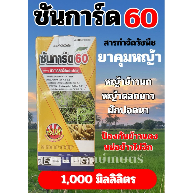 คุมเลนนาข้าว(บิวทาคลอร์) ซันการ์ด60-1ลิตร