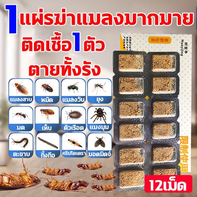 ยากำจัดแมลงสาบ 12แผ่น/กล่อง ฆ่าแมลงสาบ มด แมลงวัน จิ้งจก แมงมุม ตะขาบ ยาแมลงสาบ ดักแมลงสาบ เหยื่อแมลงสาบ