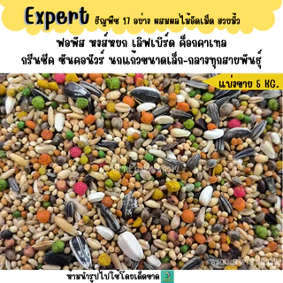 (5 KG./10 KG.) Expert ธัญพืช 17 อย่าง อาหารนกแก้วขนาดเล็ก-กลางทุกสายพันธุ์