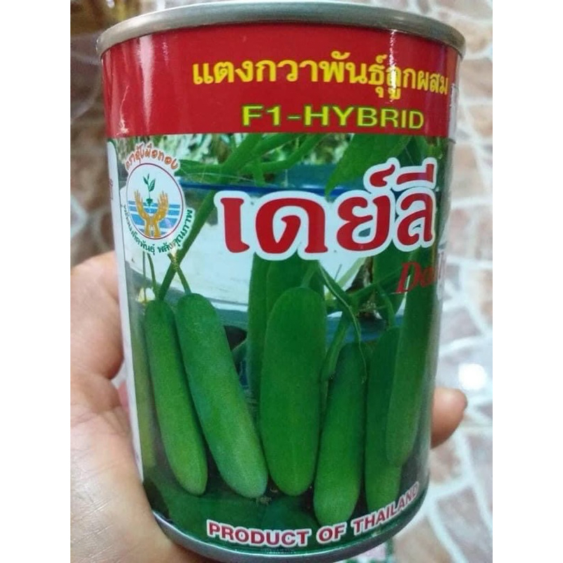 แตงกวา เดย์ลี เดย์ลี่ Daily เมล็ดพันธุ์ แตงกวา ตราอุ้มมือทอง บรรจุ 100กรัม