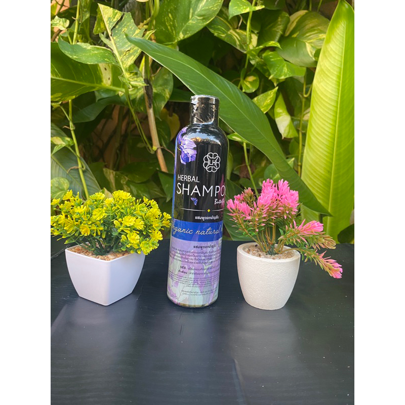 แชมพูอัญชันแท้1ขวด ปริมาณ300ml - รูปที่ 6