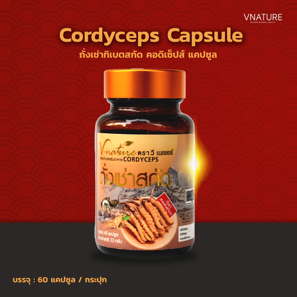 ถั่งเช่าทิเบต VNATURE Cordyceps ถั่งเช่าสกัด ถั่งเช่าแคปซูล แข็งแกร่ง อึดทน ฟื้นฟูพลัง เสริมสมรรถภาพ