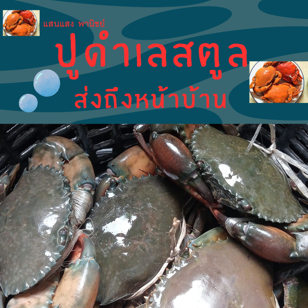 ปูดำไข่ ปูดำเนื้อ ปูดำสด อาหารทะเลสด ปูธรรมชาติ