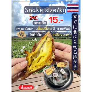 Oishi-Fresh รวมสายพันธุ์ มันหวานญี่ปุ่น เผาพร้อมทาน🍠เนื้อเหลือง นุ่ม หอม ฉ่ำ หวานตามธรรมชาติ ขนาด 50-120 ก. ส่ง24ชม.
