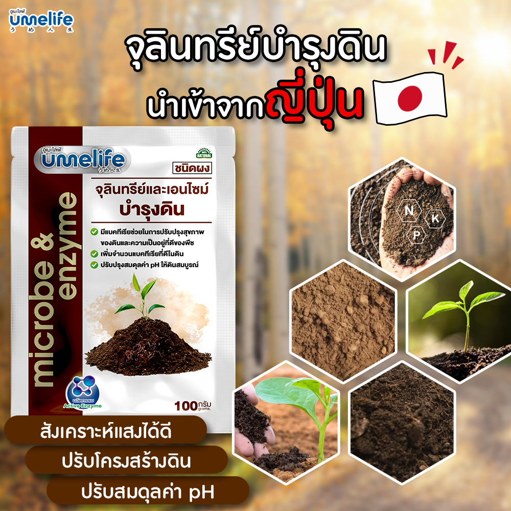 อูเมะไลฟ์ บำรุงดิน 100 กรัม ฟื้นฟูดิน จุลินทรีย์บำรุงดิน ปรับสภาพดิน ปรับค่า PH ในดิน แร่ธาตุในดิน