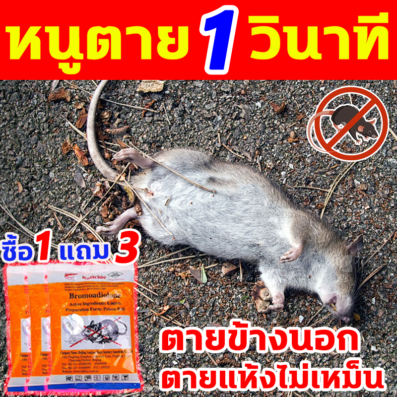 หนูตายหมดในคืนเดียว ยาเบื่อหนู ทำจากข้าวสาลี 1แถม3 ยาฆ่าหนู ไม่มีหนูทั้งปี ยาเบื่อหนูแห้ง ไม่มีกลิ่นไม่พึงประสงค์ ไล่หนู