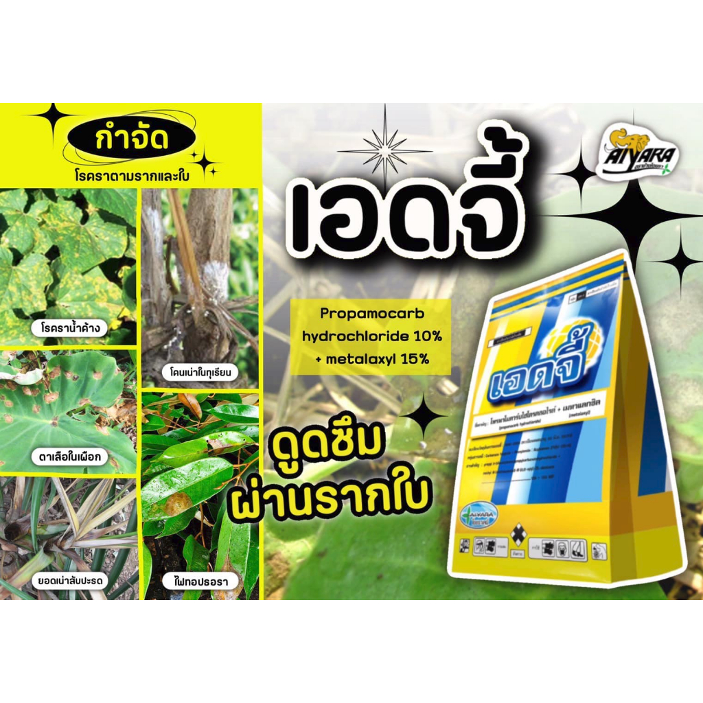เอดจี้ โพรพาโมคาร์บไฮโดรคลอไรด์ + เมทาแลกซิล (1กก.) ป้องกันจำกัดเชื้อรา ไฟทอป ราน้ำค้าง ใช้ได้ทั้งฉีดพ่น หรือทาแผล