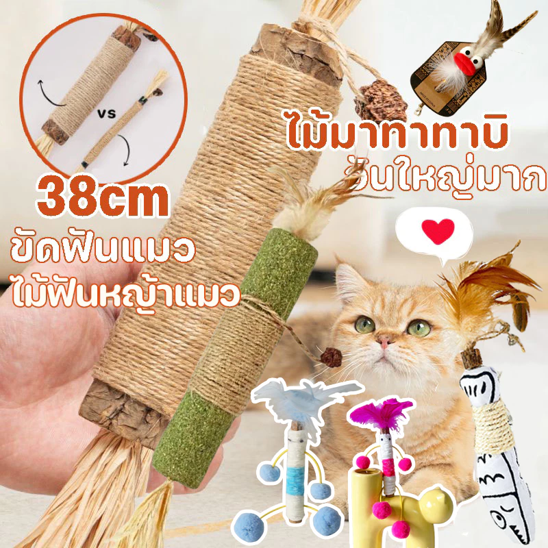 COD😻(38cm) อันใหญ่มาก ไม้มาทาทาบิ ขัดฟันไม้ ไม้ขัดฟันแมว ของเล่นแมว ก้านมาทาทาบิ ไม้แปรงฟันแมว