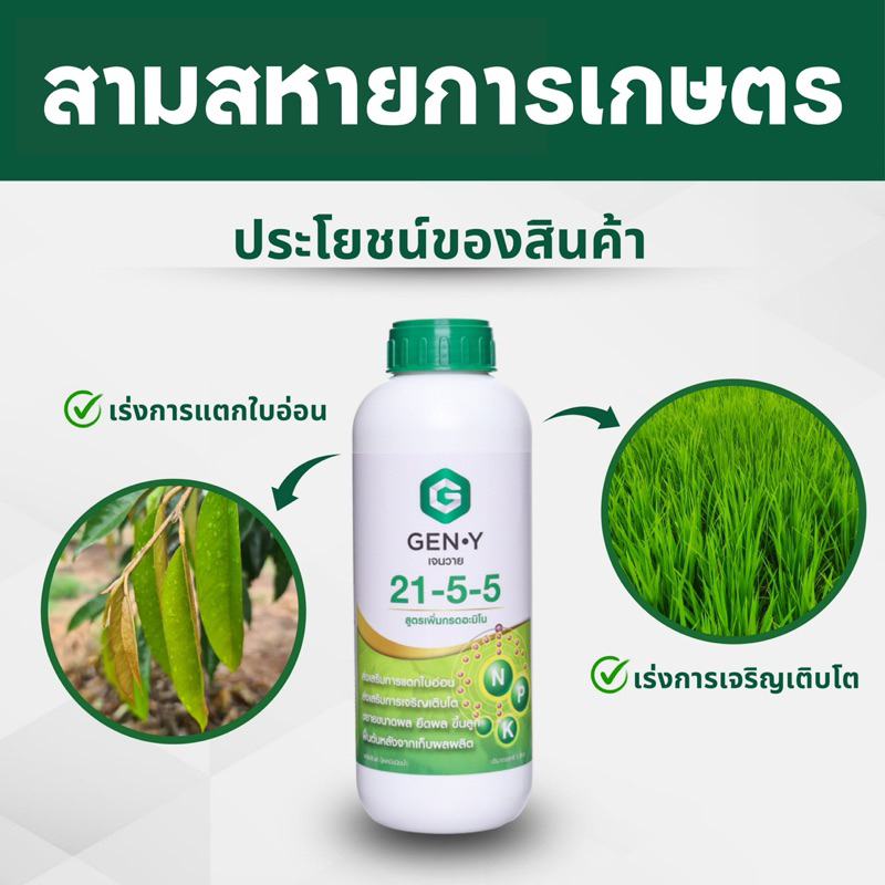 ปุ๋ยน้ำเจนวาย21-5-5 เร่งต้น เร่งใบ ฟื้นฟูสภาพต้น หลังเก็บเกี่ยว ขนาด1ลิตร