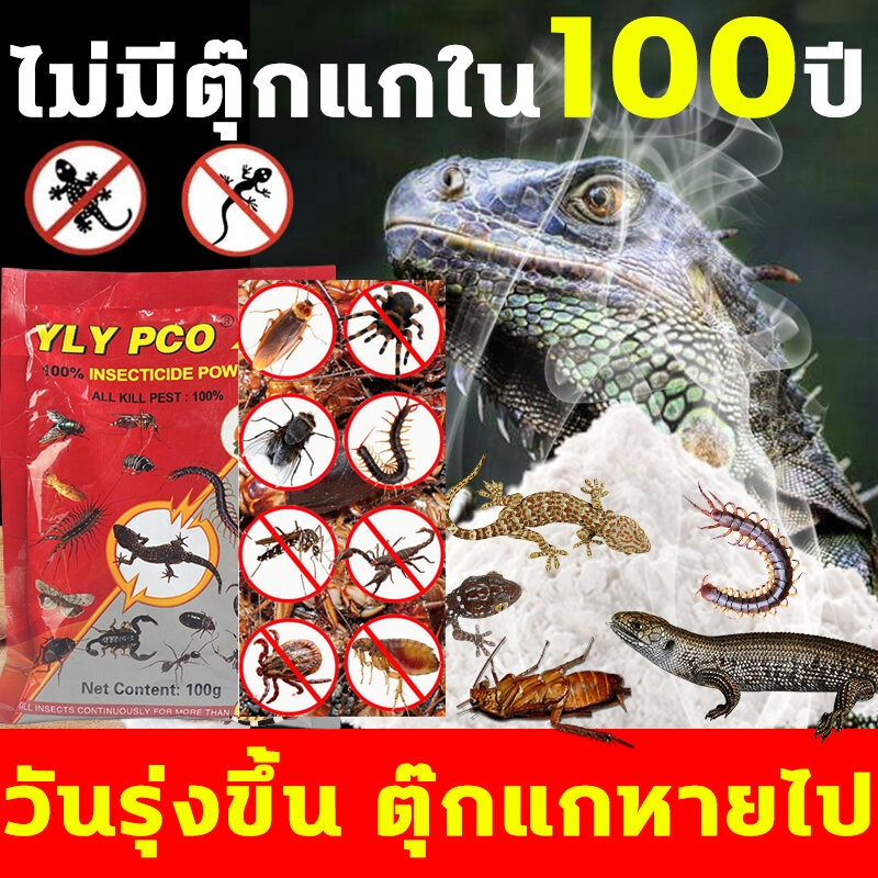 ฆ่าจิ้งจกทั้งหมดได้ง่ายๆ ยากำจัดจิ้งจก 100g สูตรใหม่ ยาฆ่าจิ้งจก ตุ๊กแกกินแล้วตายทันที ไล่จิ้งจกถาวร