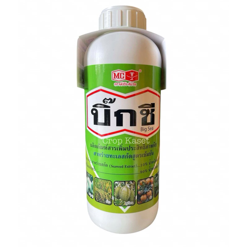 บิ๊กซี สาหร่ายสกัด (หัววัวคันไถ) ขนาด 1 ลิตร สาหร่ายเร่งราก ยาเร่งรากและใบ ยาเร่งรากปักชำ ยาเร่งรากเร่งดอก ยาเร่งรากพืช