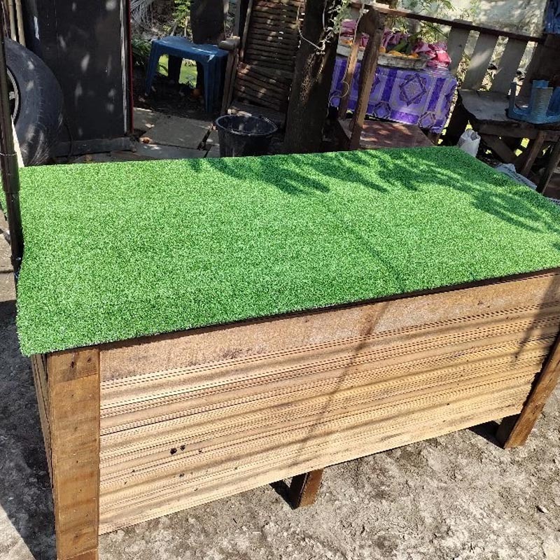 รูปภาพ 6