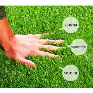หญ้าเทียม หญ้าเทียมถูกๆ แผ่นหญ้าเทียม 2x6m 2x7m 2*8m 2*9m 2*10เมตร สีไม่ซีด มีรูระบายน้ำ แต่งสวน จัดส่งไว