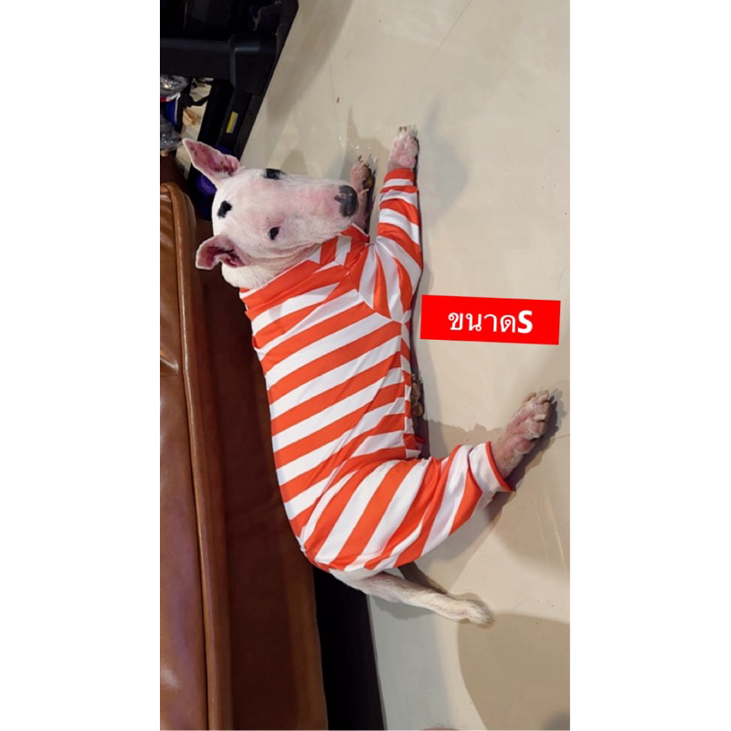 รูปภาพ 8