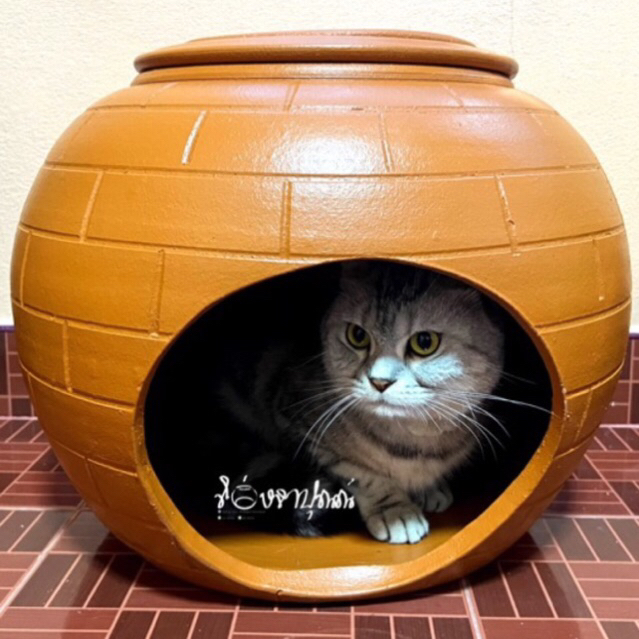 โอ่งแมวดินเผาอ่านรายละเอียดก่อนสั่งนะคะ อ่างแมวดินเผา✨ของพร้อมส่ง✨รับประกันสินค้า⚡️