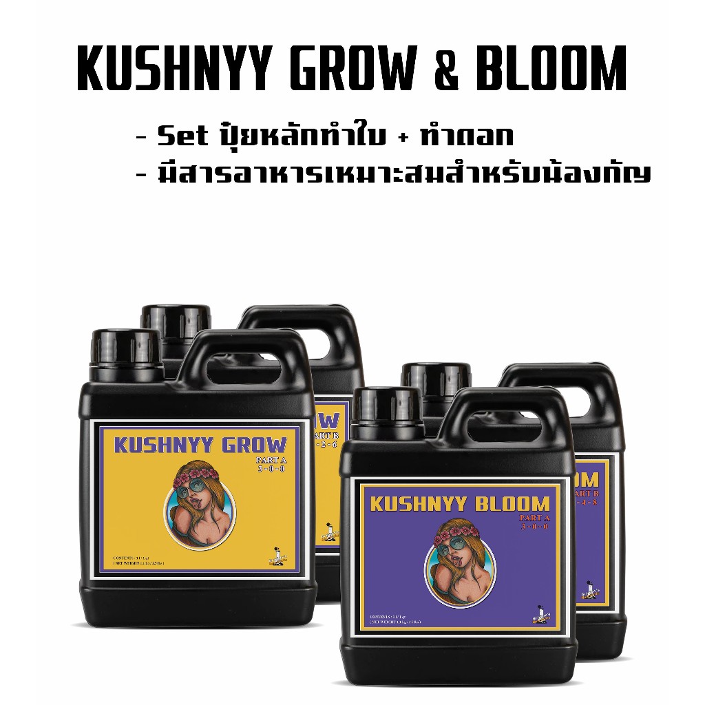 KUSHNYY GROW & BLOOM ปุ๋ยน้อนกัญตัวโคลน “AN Sensi”