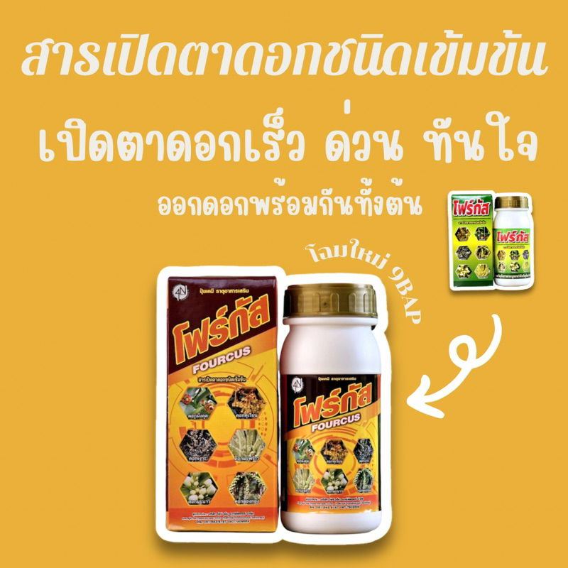 โฟร์กัส ไซโต 6 BAP (ver. Upgrade9BAR) เปิดตาดอกชนิดเข้มข้น ขนาด 500 ml เปิดตาดอกเร็วทันใจ ออกดอกพร้อมกันทั้งต้น