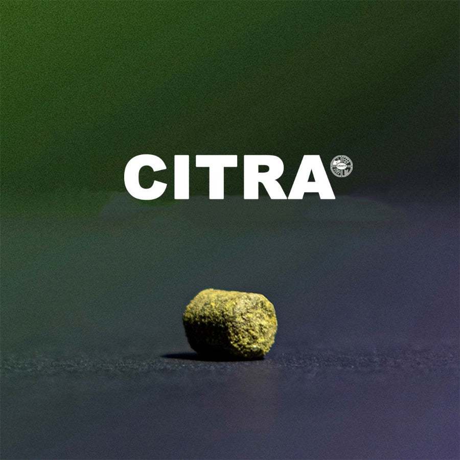 ฮอป ทำเบียร์ Citra Hops T90 แบรนด์ Haas (1 kg., 0.454 kg.) Crop 2025