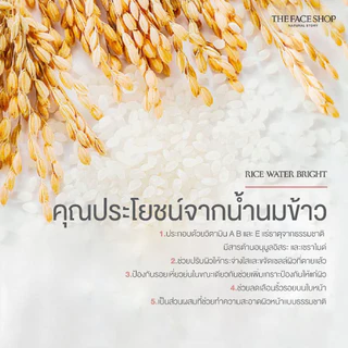 [พร้อมส่ง ของแท้] the face shop - rice water bright cleansing foam 300ml โฟมล้างหน้าสูตรน้ำนมข้าว