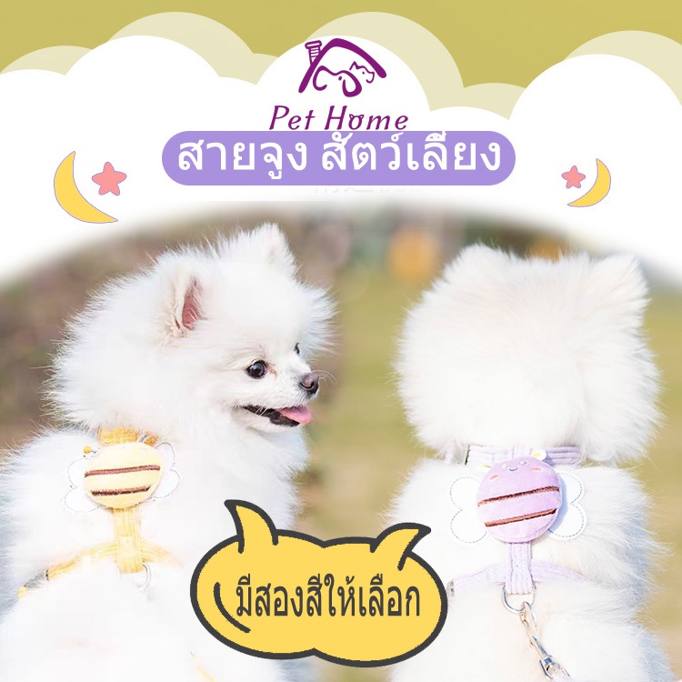 สายจูงสุขัข สายจูงแมว สายจูงหมา สายจูงสัตว์เลี้ยง สายรัดอก ลายผึ้ง เชือกลากจูงสุขัข สายรัดสุขัข