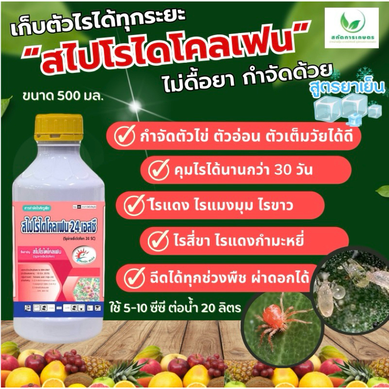 สไปโรไดโคลเฟน24sc ขนาด 500 มล.ไรแดง ไรขาว ไรสนิมส้ม ตัวอ่อน ตัวไข่ ตัวเต็มไวได้ ยาเย็น ได้ทุกช่วงของพืช ขนาด  500 มล.
