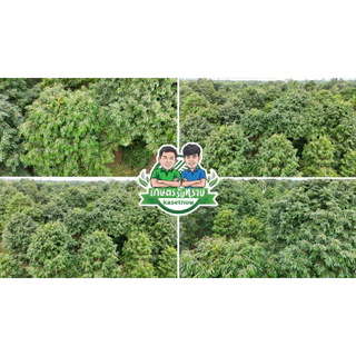 5 ชุดแถม 1 ชุดสี่เกลอ เกษตรรับทราบ เซฟตี้แพลนท์ ไมโครพลัส ไลนิ่งแคล อะมีซี