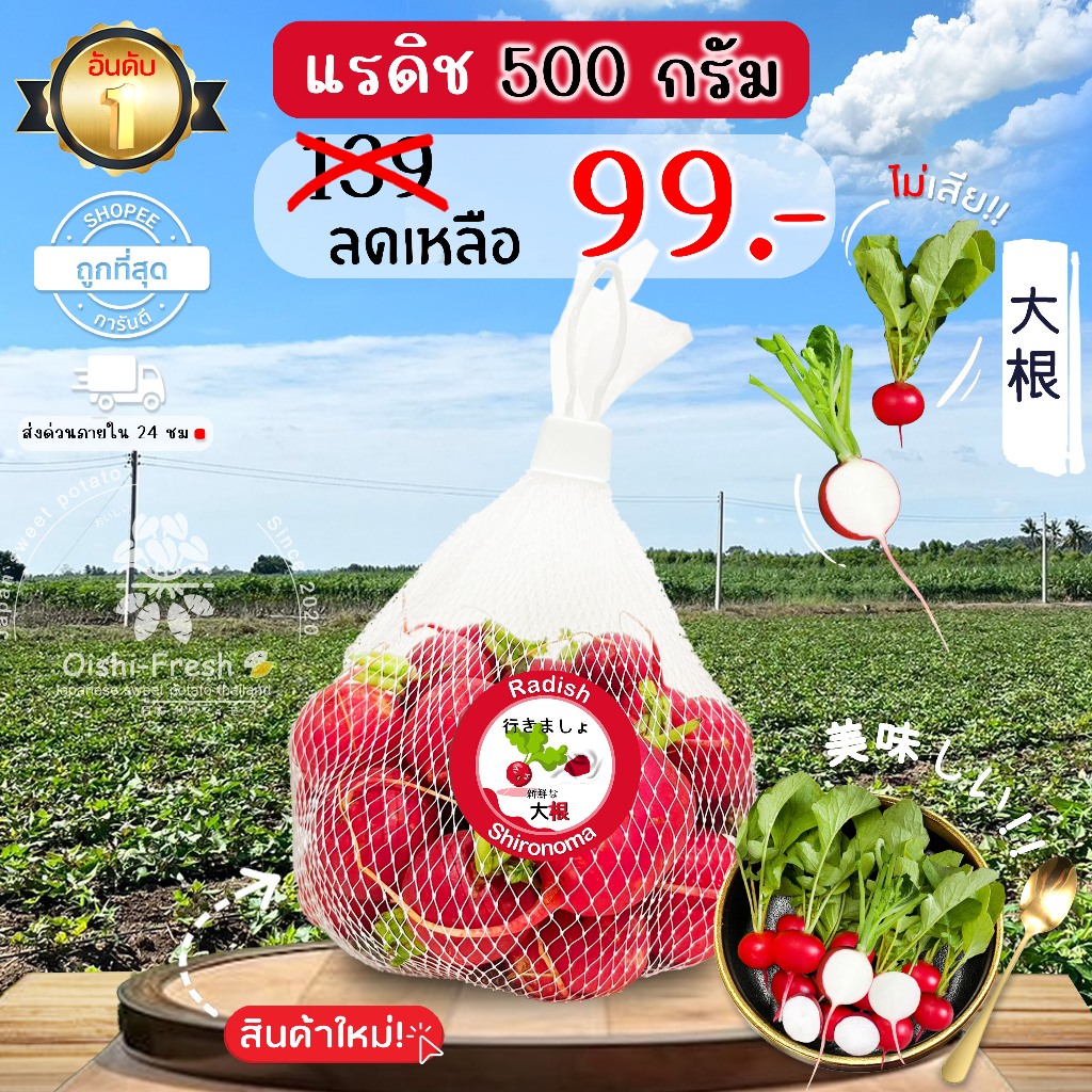 แรดิช ปลอดสารพิษ 500 ก. รสชาติกรอบ สด ใหม่ ใยอาหารสูง หวานออร์แกนิด เคลมได้ 1-2 วัน