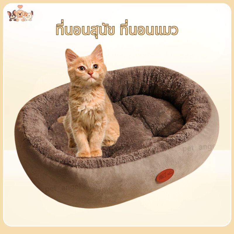 MollyPet ที่นอนสัตว์เลี้ยง ที่นอนสุนัข นุ่ม สบาย ที่นอนแมว เตียงสุนัข เตียงแมว หมา เบาะสัตว์เลี้ยง Pet Bed