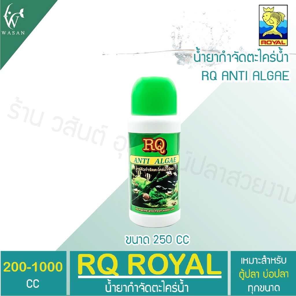 กำจัดตะไคร่น้ำเขียว RQ ANTI ALGAE ขนาด 250-1000 cc.