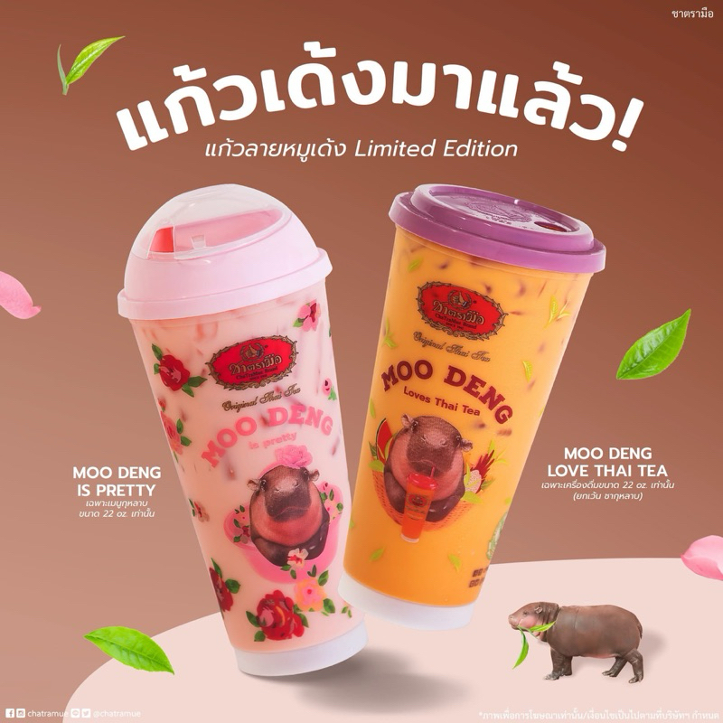 ชาตรามือ ChaTraMue แก้วเปล่า ลาย Original, กุหลาบ, Mom Day, หมูเด้ง (มือสองเก็บสะสม)