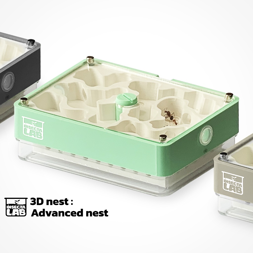 รังมดพิมพ์สามมิติ รุ่นแอดวานซ์ (3D nest : Advanced nest) “ไม่รวมเอาท์เวิลด์“