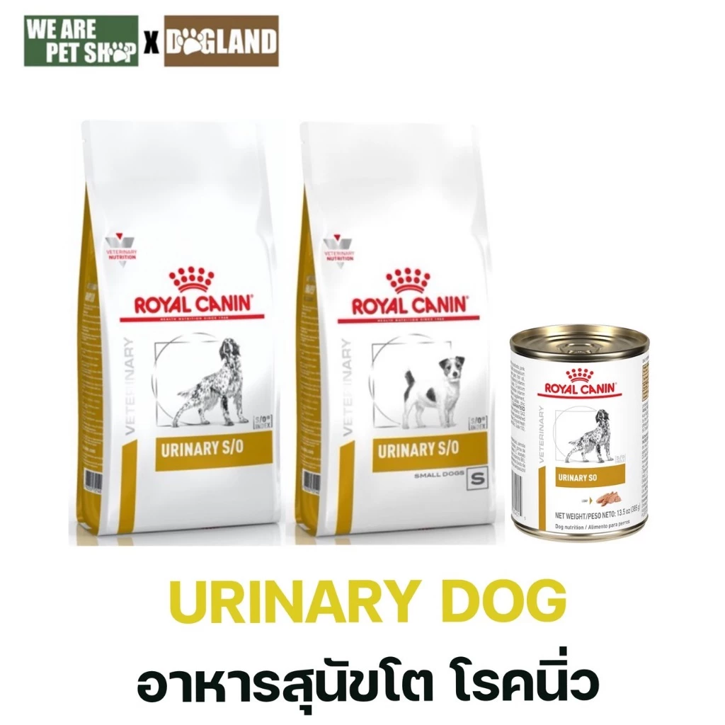 Royal Canin Vet Dog โรคนิ่ว Urinary S/O