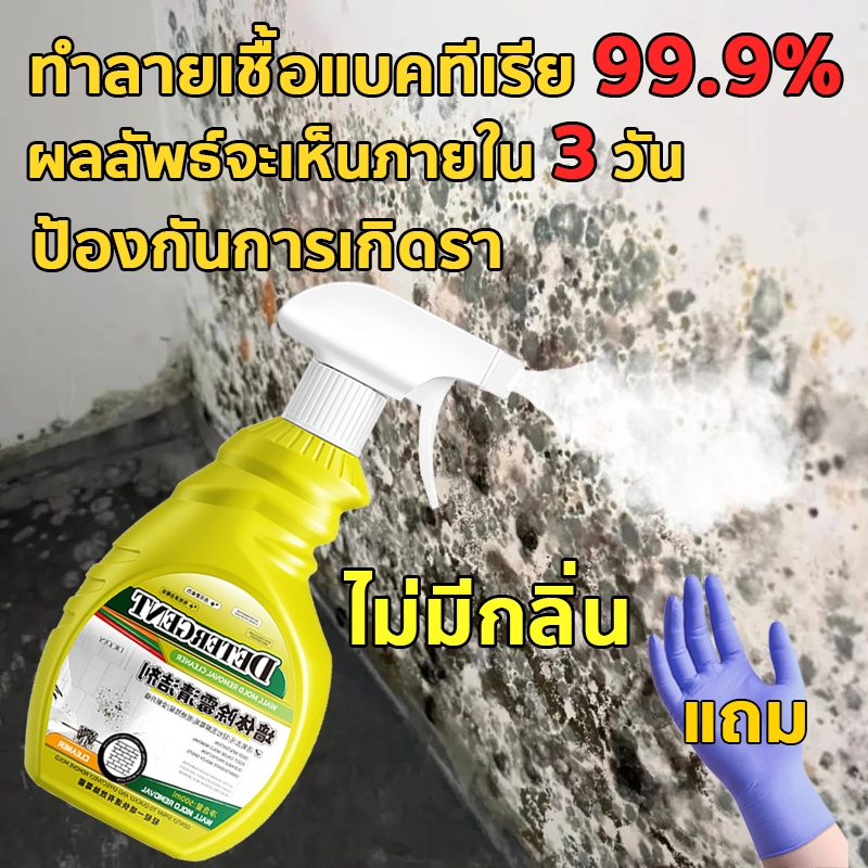 DETERGENT น้ำยาฆ่าเชื้อรา 500ml ไม่ขึ้นรา10ปี ขจัดเชื้ออราอย่างรวดเร็ว อัตราการฆ่าเชื้อสูงถึง99% น้ำยากำจัดเชื้อราผนัง