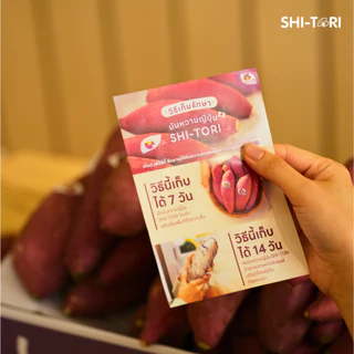 Live 🍠 มันหวานญี่ปุ่น เบนิฮารุกะ Size M เนื้อฉ่ำ รสชาติหวาน