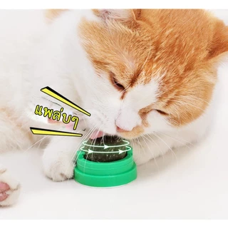กัญชาแมว แคทนิปบอล ติดกำแพง ไม่กลิ้งหาย catnip ball
