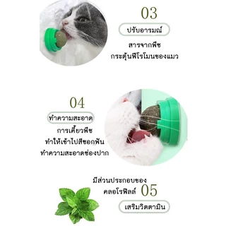 กัญชาแมว แคทนิปบอล ติดกำแพง ไม่กลิ้งหาย catnip ball