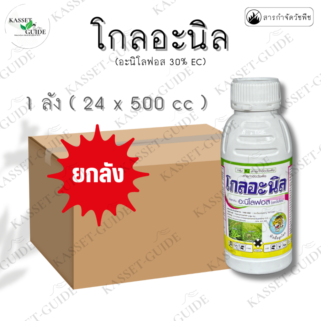 ขายยกลัง 24 ขวด โกลอะนิล (อะนิโลฟอส) แก้ปัญหาหญ้าดื้อยาทุกชนิด