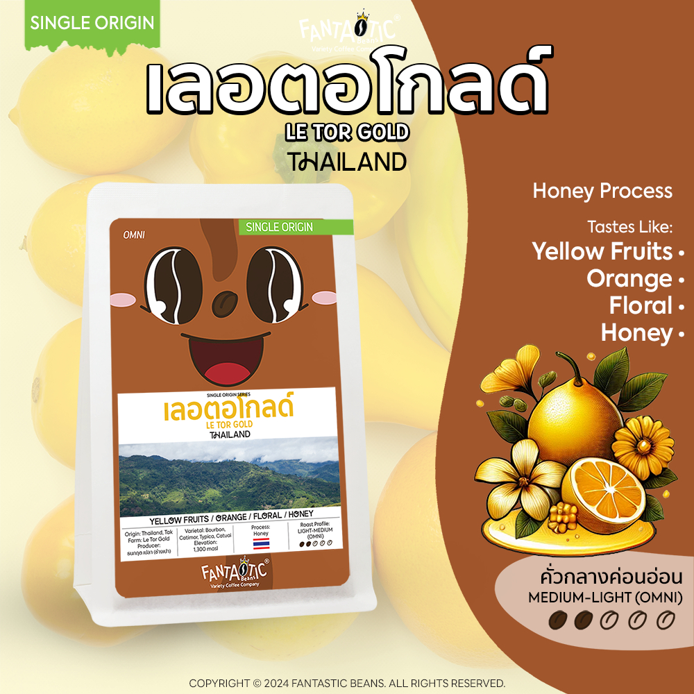 เมล็ดกาแฟ Thailand เลอตอโกลด์ Le Tor Gold คั่วกลางอ่อน FANTASTIC Beans Coffee