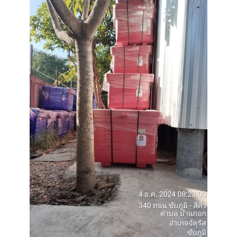 ถังแช่ถังน้ำแข็ง 100 ลิตร มีมอก. สุ่มสี สินค้าพร้อมส่ง