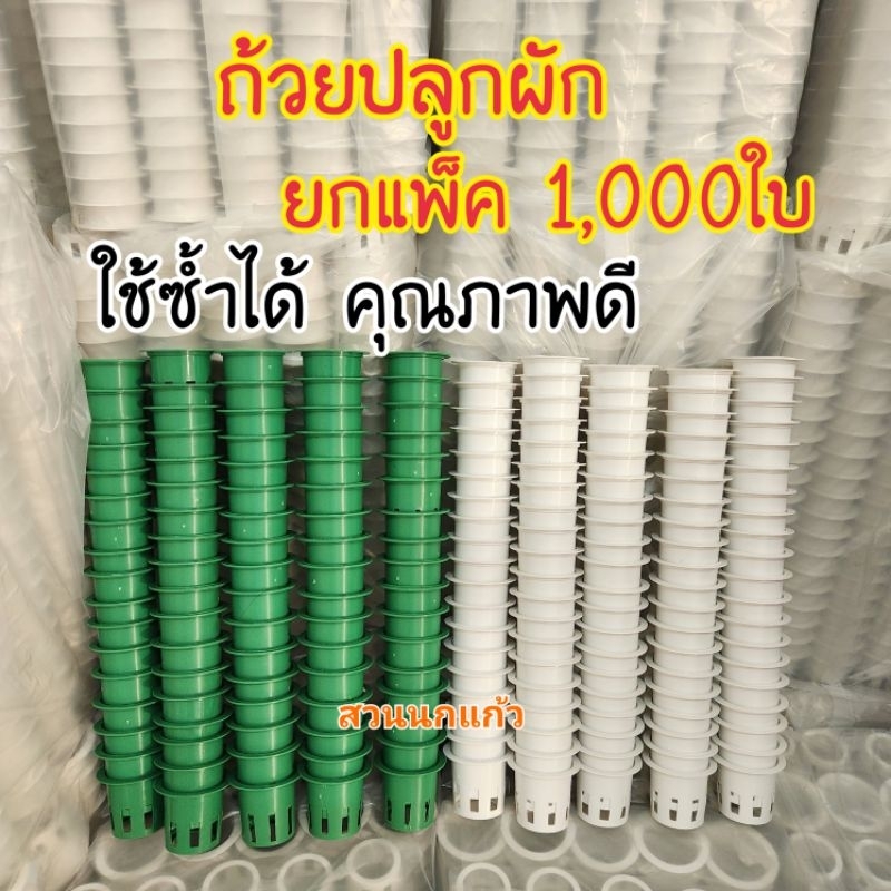 ถ้วยปลูกผักไฮโดรโปนิกส์ เกรด AAA คุณภาพดีเยี่ยม แพ็คละ 1,000ใบ(ยกแพ็ค)