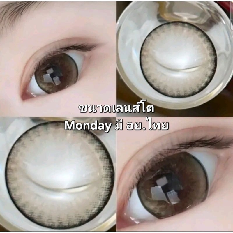 คอนแทคเลนส์ บิ๊กอาย รุ่น Monday gray/เทา Brown /สีตาล มีค่าสายตา (0.00)-(-10.00)