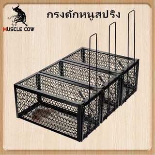 Muscle Cow กรงดักหนูสปริง2ตัวโครงหนา กรงดักหนู กรงดักหนูแบบมีโครง กรงดักหนูสปริงคู่ กรงดักหนูนา กรงดักหนูเล็ก
