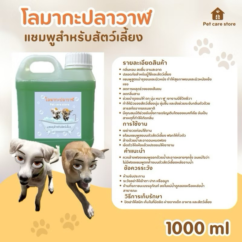 รูปภาพ 8