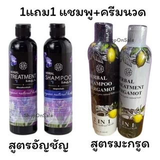 แชมพูดอกอัญชัญ-แชมพูมะกรูด *Buttyfly (1แถม1)