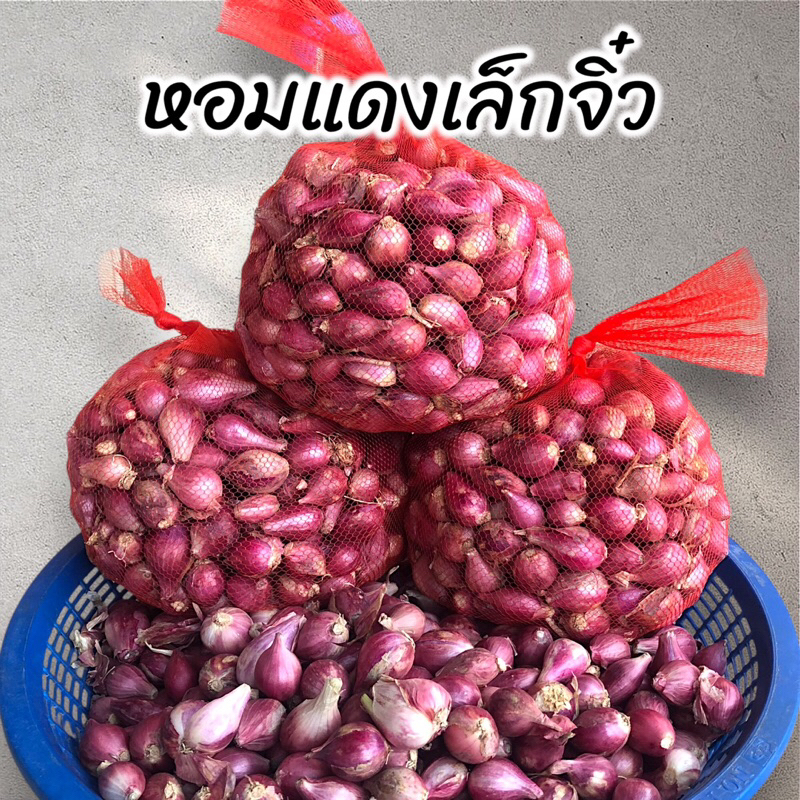 หอมแดงตัดจุก เล็กจิ๋ว ศรีสะเกษ