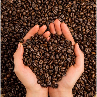 เมล็ดกาแฟคั่ว อาราบิก้า กาแฟสวนยาหลวง ขนาด 500 กรัม☀️Dry Process คัดเกรด AAนาน 14 วัน เพื่อรสชาติที่ลงตัว